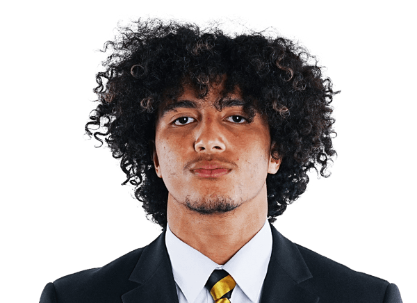 Emmerson Cortez-Menjivar