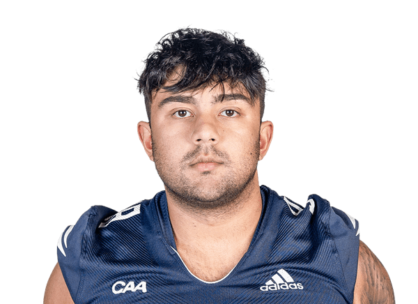Ramin Farzaie